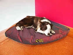 Corner Dog Bed - Waterproof Various Sizes & Colours